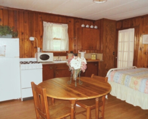 Lower level of The Duplex cabin rental featuring kitchen, dining table, and a double bed in one open space