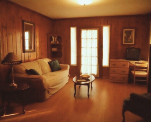 Lower level living area in The Duplex cabin rental with comfortable seating and rustic charm