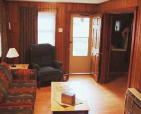 Alternate view of Cabin 3 living room – peaceful cabin retreat in Hot Springs