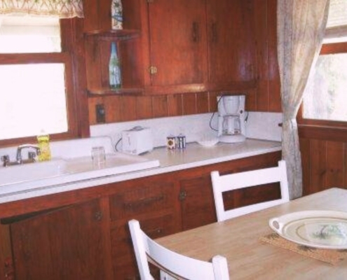 Compact kitchen area in Cabin 4 – vintage charm in a cozy cabin Hot Springs rental