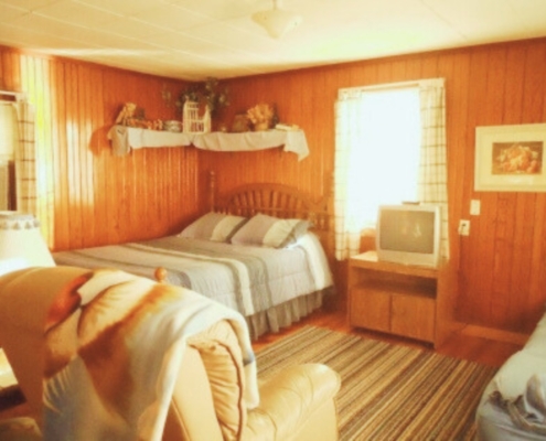 Alternate view of The Love Shack cabin rental living room showcasing hardwood floors and cozy decor