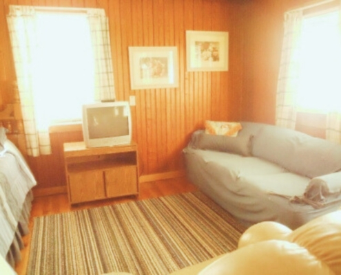 Other side of The Love Shack cabin rental living room with rustic knotty pine details