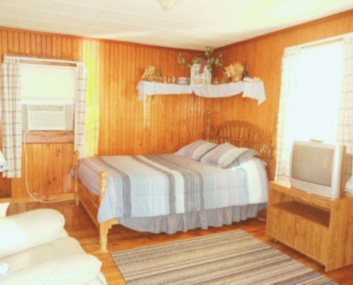 Queen-size bed in the living room of The Love Shack cabin rental with knotty pine walls